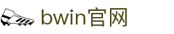 必赢 (BWIN)亚洲官方门户 - 体育赛事直击